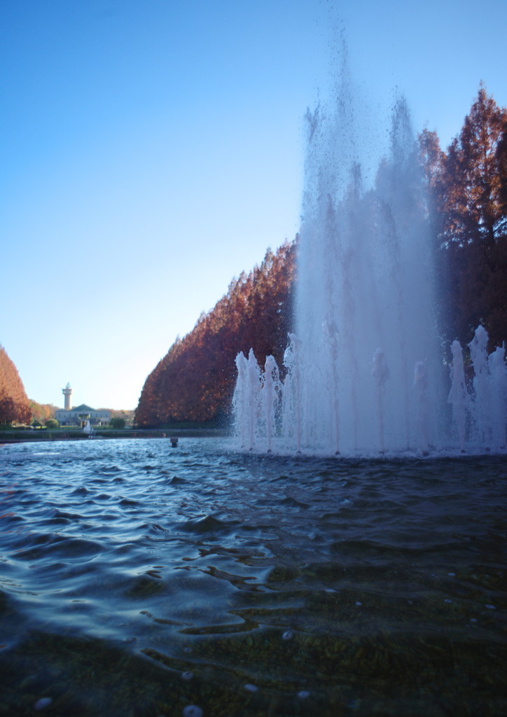 OLD LENS  相模原公園　Ⅱ