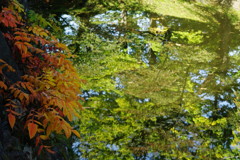 旅写真　弘前城　Ⅱ