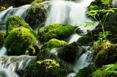 旅写真　長野・冠水渓　Ⅱ