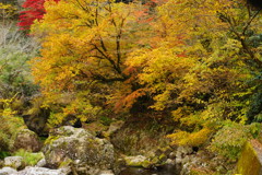 秋を探して　秋川渓谷