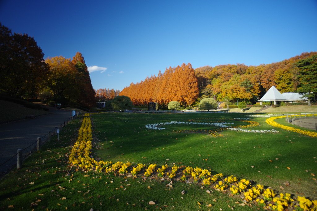 OLD LENS  相模原公園