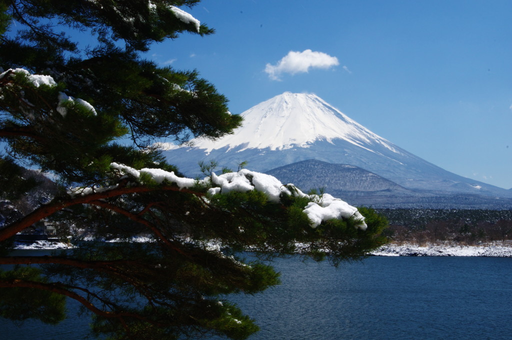 旅写真　精進湖より