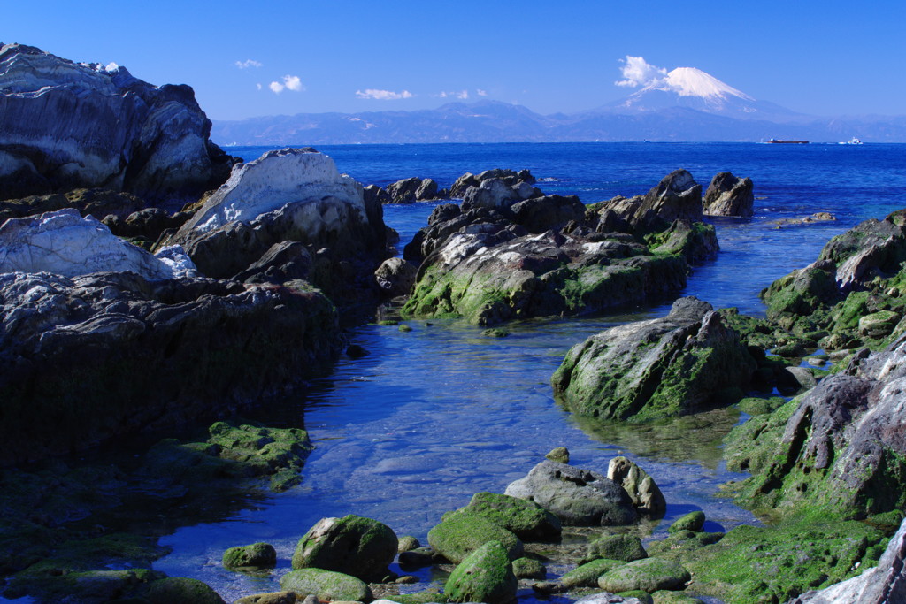 富士をバックに　城ヶ島岩場　Ⅳ