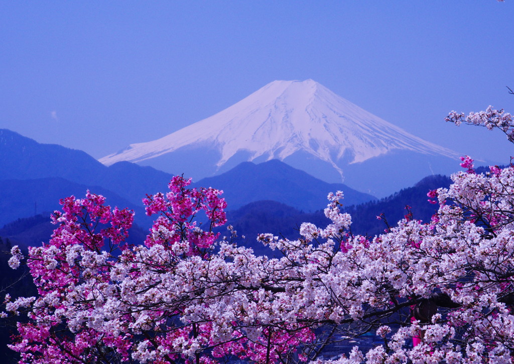 旅写真　富士山　Ⅲ
