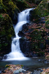 冬を探して　九頭竜の滝