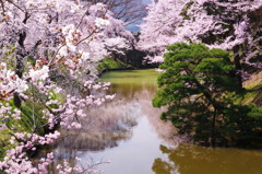 旅写真　上田城　Ⅲ