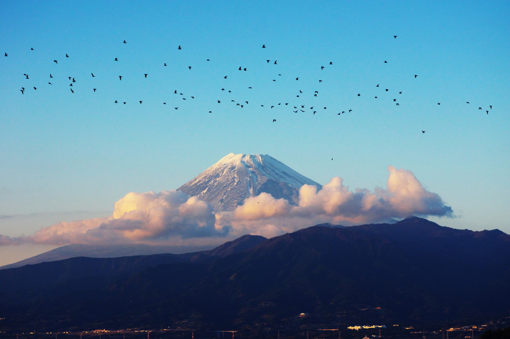 富士山の在る風景　富士とカラス