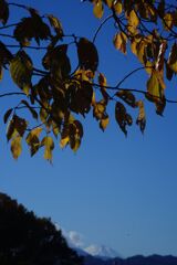 落日　近所の公園より