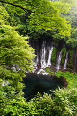 旅写真　白糸の滝