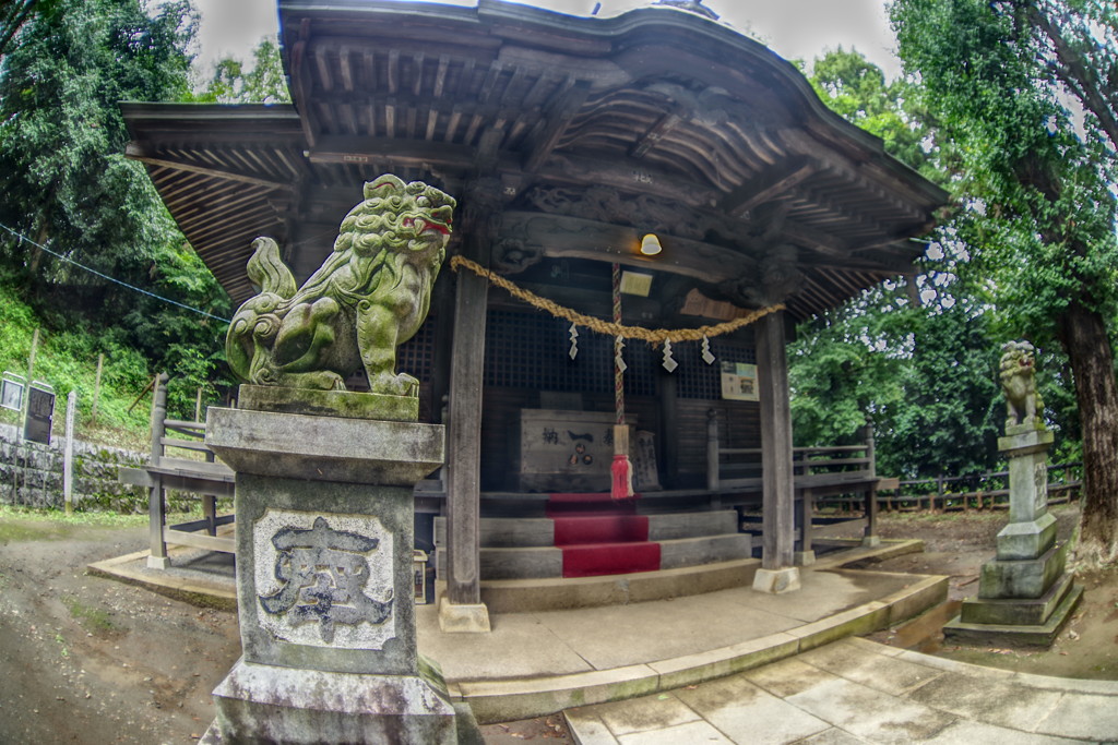 虫時雨　氏神様境内