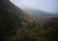 OLD LENS  津久井湖　Ⅱ