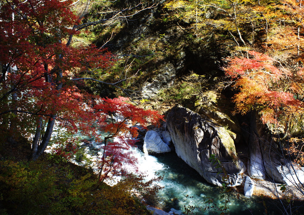 千秋楽　中津川　Ⅱ