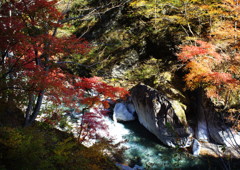 千秋楽　中津川　Ⅱ