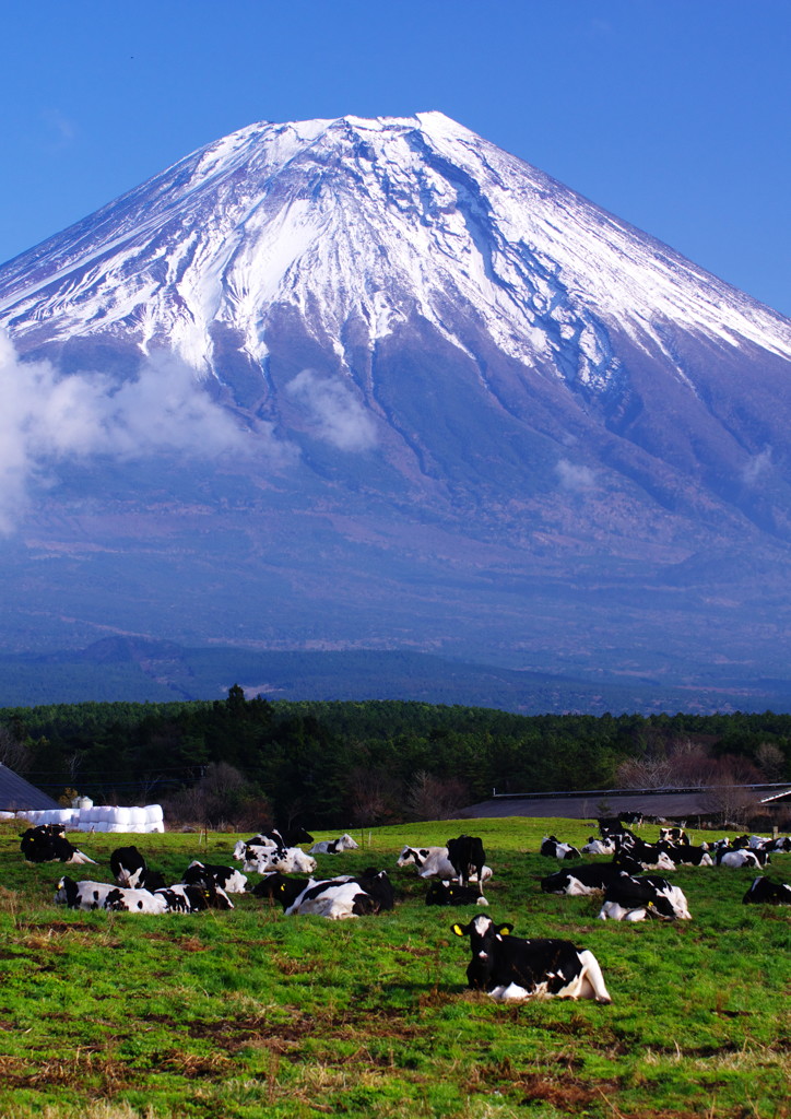 旅写真　富士山　Ⅳ