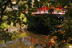 旅写真　弘前城