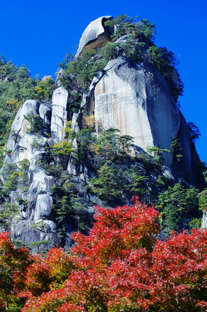 秋を探して　覚円峰