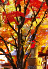 旅写真　修善寺　Ⅱ