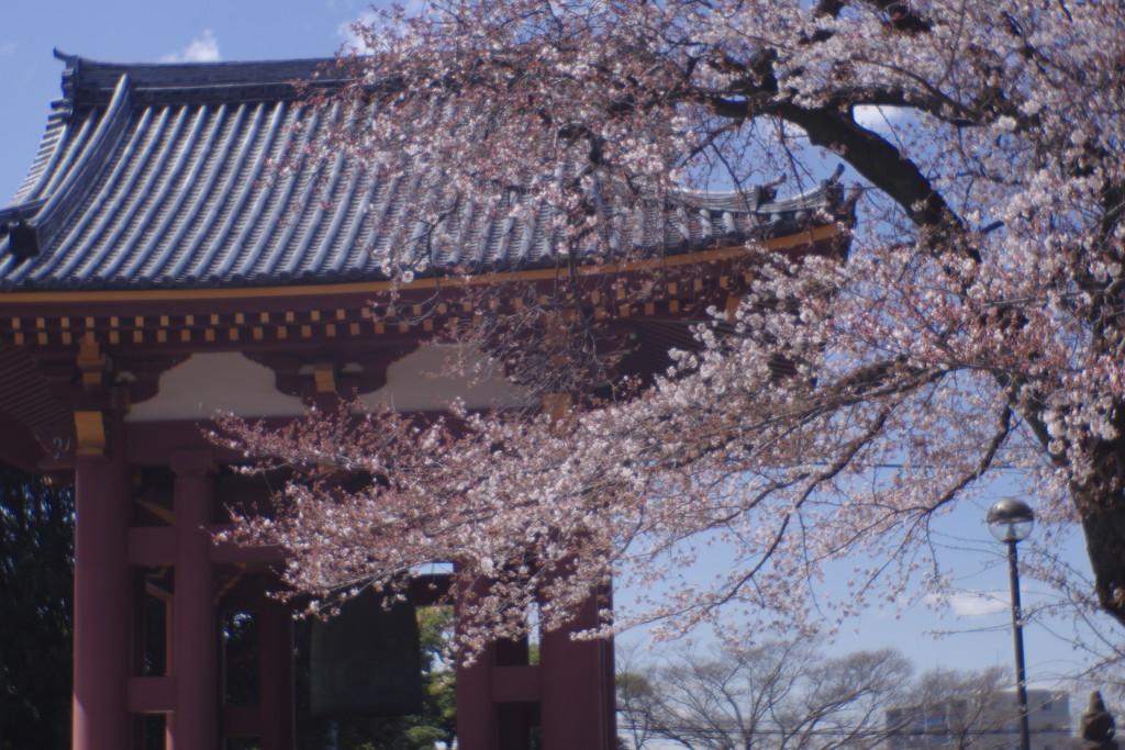 OLDLENS  池上本門寺鐘楼　Ⅱ