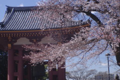 OLDLENS  池上本門寺鐘楼　Ⅱ