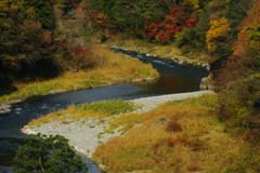 秋を探して　多摩川
