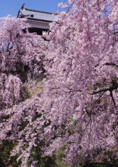 旅写真　上田城　Ⅳ