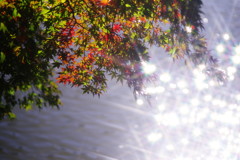 千秋楽　クロスフィルター