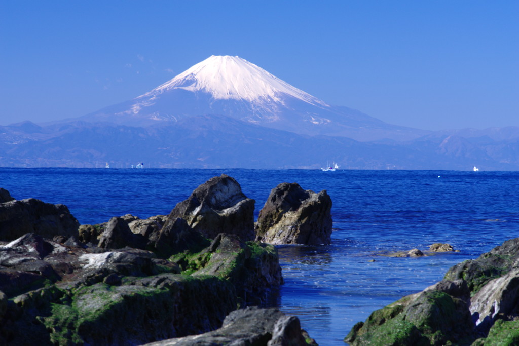 富士をバックに　城ヶ島岩場