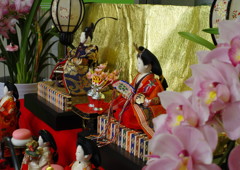 春光　お雛様　Ⅲ