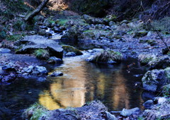 冬を探して　北秋川