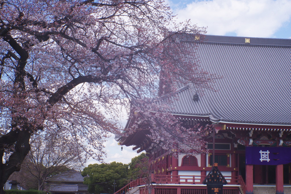 OLDLENS  池上本門寺　本堂