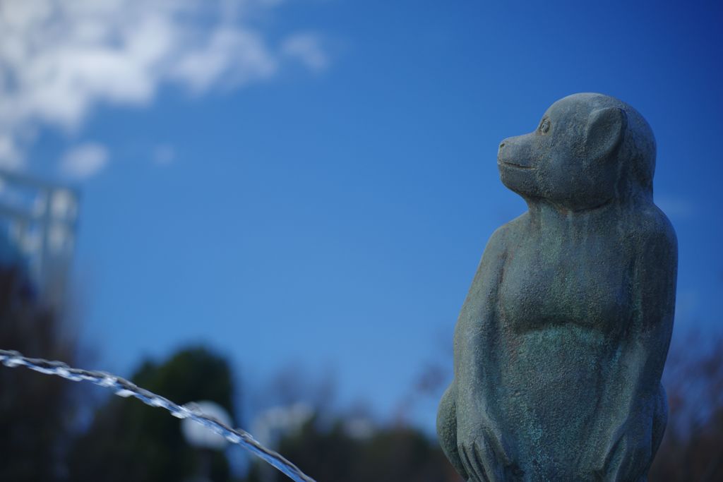 初春　お猿さんかな？　Ⅱ