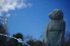 初春　お猿さんかな？　Ⅱ