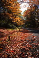 千秋楽　昭和記念公園
