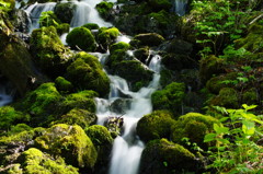 旅写真　長野・冠水渓　Ⅳ