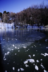 仲春　凍てつく