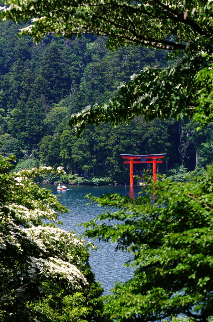 旅写真　箱根神社　Ⅱ