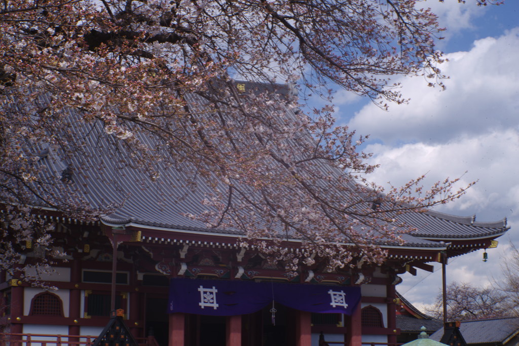 OLDLENS 池上本門寺本堂　Ⅱ