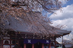 OLDLENS 池上本門寺本堂　Ⅱ