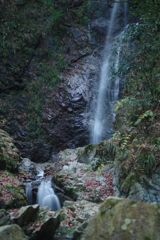 寒冷　払沢の滝