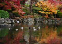 寒冷　秋酣　Ⅱ