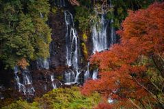 短日　白糸の滝