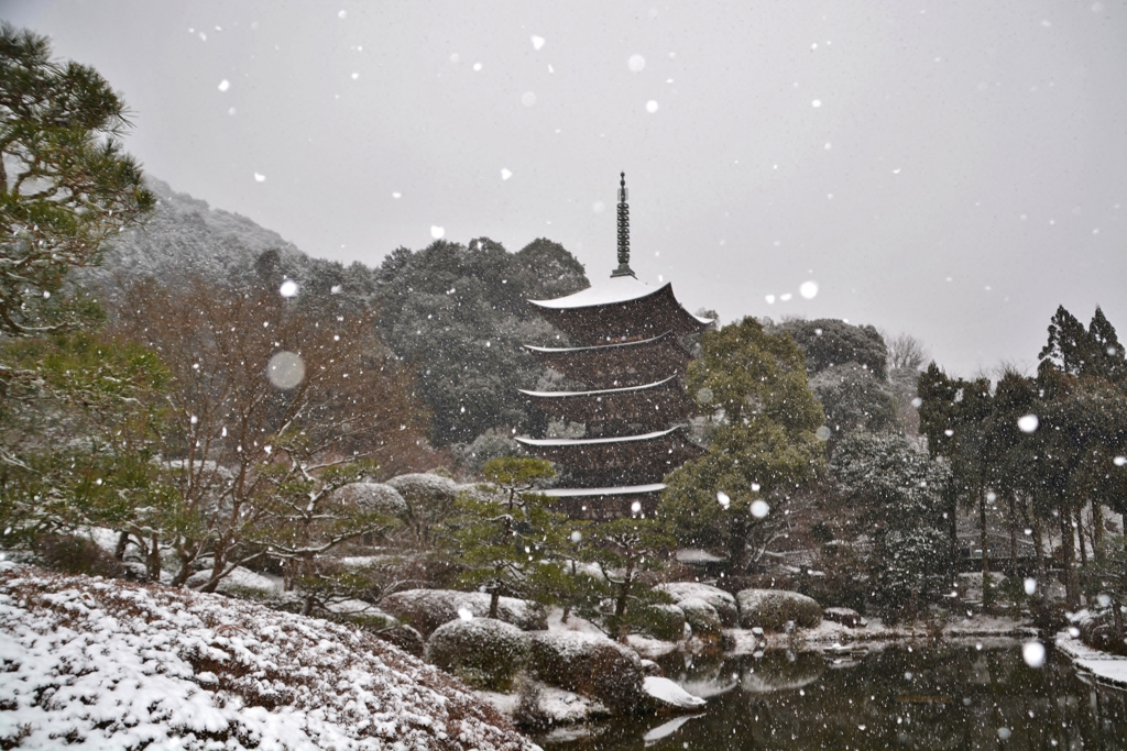 蔵出し・瑠璃光寺 五重塔・１