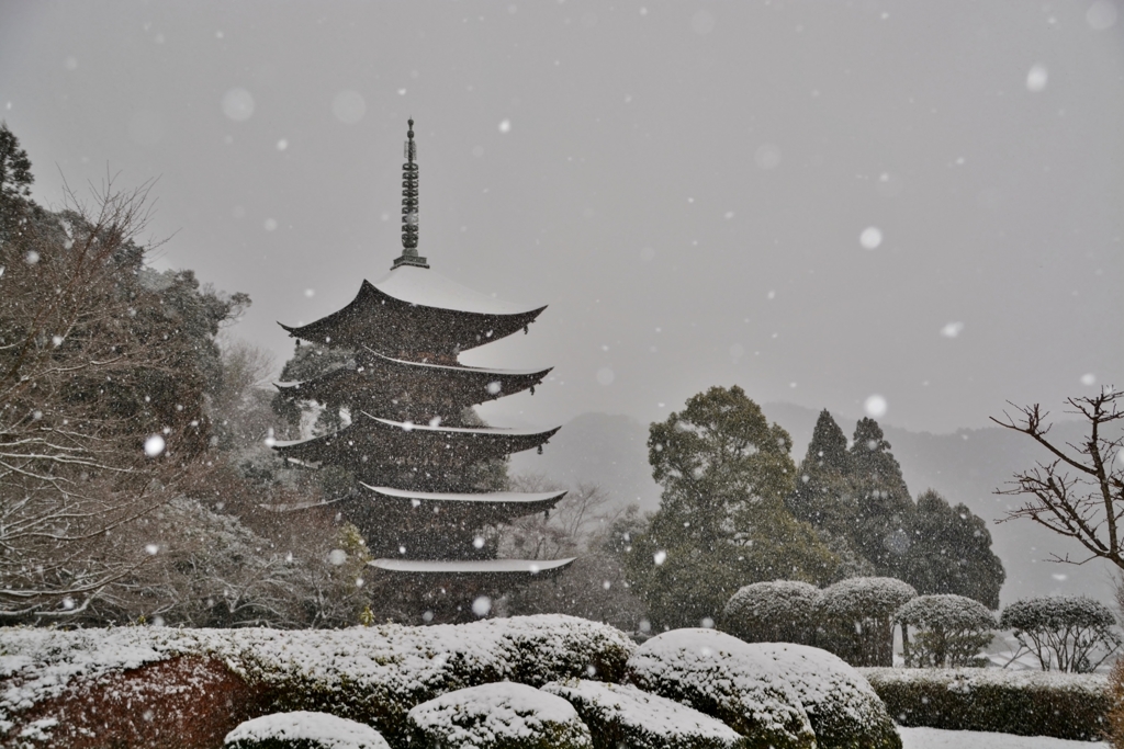 蔵出し・瑠璃光寺 五重塔・２