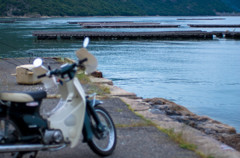 瀬戸内海沿いの道をカブでツーリング