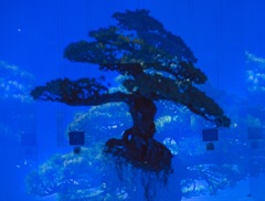 エルメス展