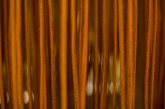 エルメス展