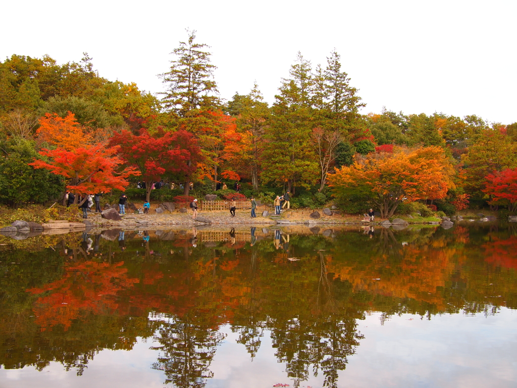 昭和記念公園 2014/11/16