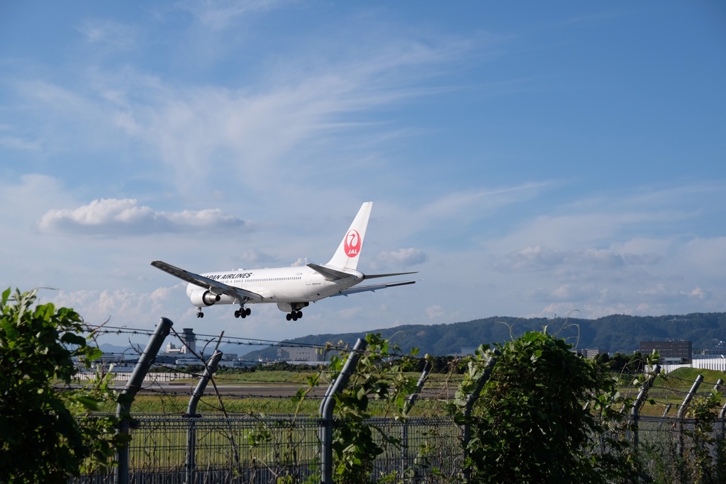 千里川堤防(4)