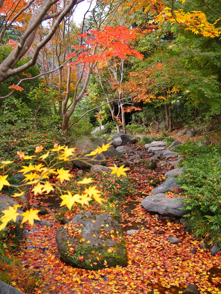 昭和記念公園 2014/11/16