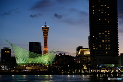 神戸港の夜景(3)